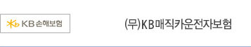 KB 매직카운전자보험